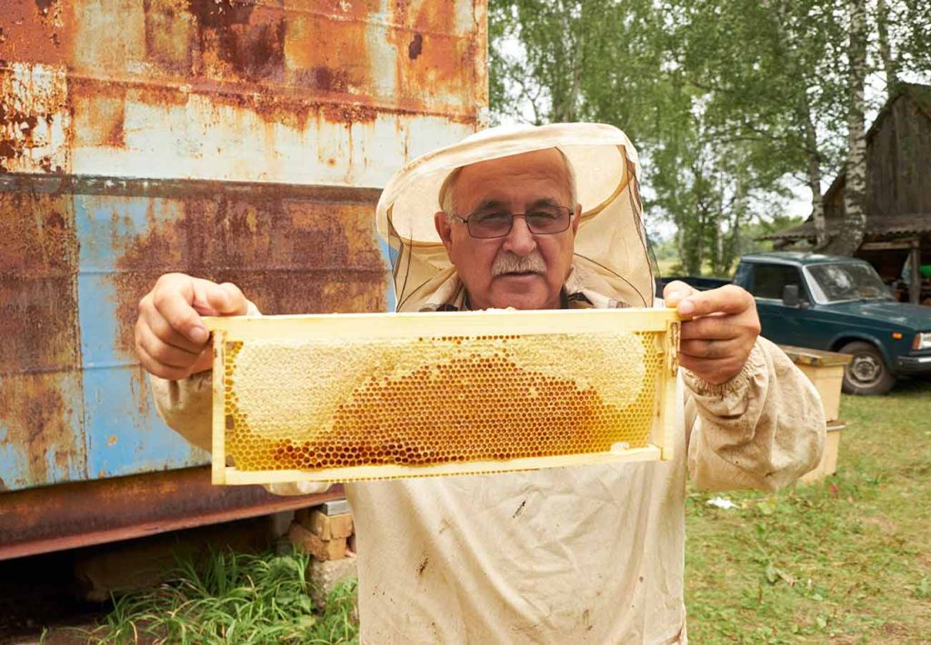 Sweet Honey Packs Fresh Raw and Unfiltered